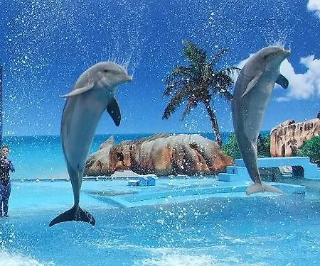 Jazzy Cool Near White Beaches Апартаменты