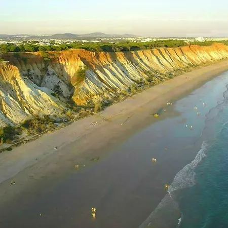 Jazzy Cool Near White Beaches *