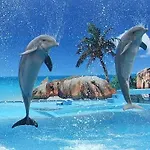Jazzy Cool Near White Beaches Διαμέρισμα
